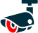 Video-Surveillance